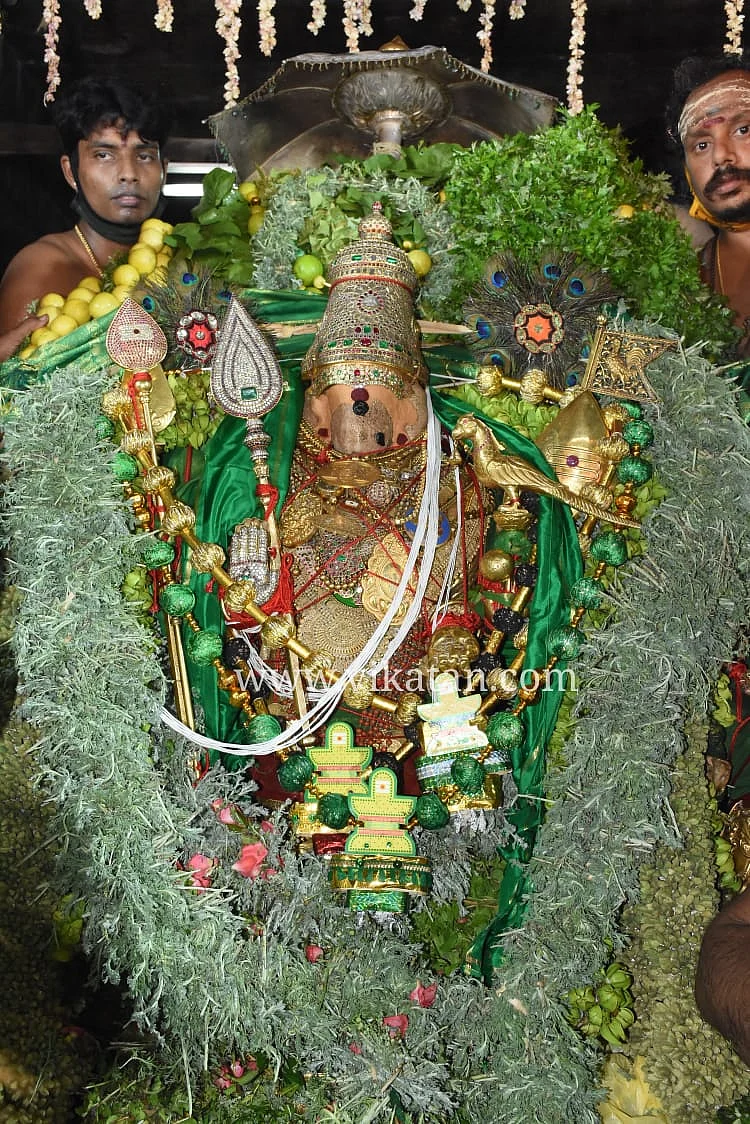பச்சை சாத்தியில் சுவாமி சண்முகர்