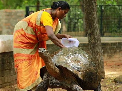 முதலை, ஆமை, இக்வானா, டிராகன்... “இதெல்லாமும் எங்களுக்குக் குழந்தைங்கதான்!”