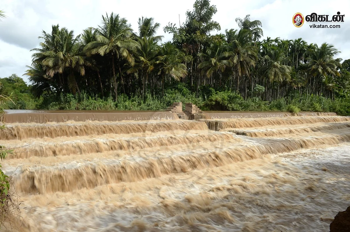 நொய்யல்