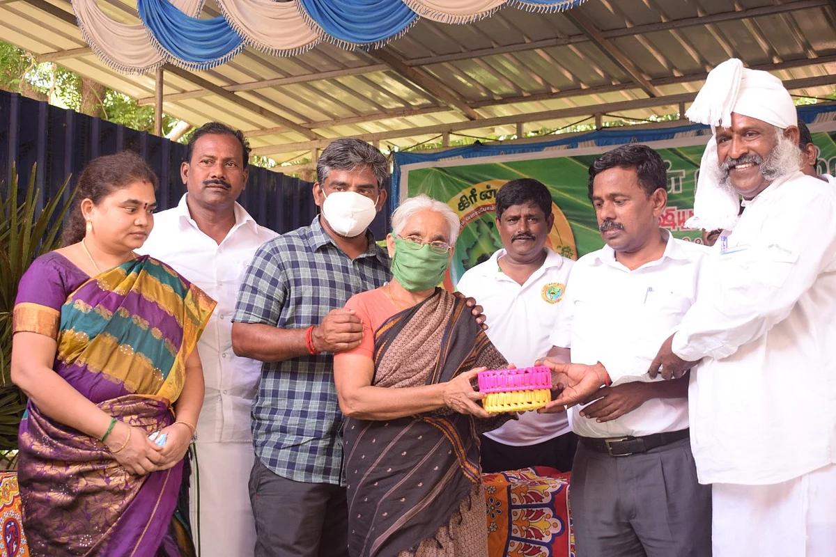பனை திருவிழா