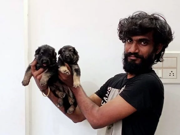 `நாய் வளர்ப்பும் நல்ல பிசினஸ்தான்!' ஓர் அறிமுகமும், கவனிக்க வேண்டிய விஷயங்களும்
