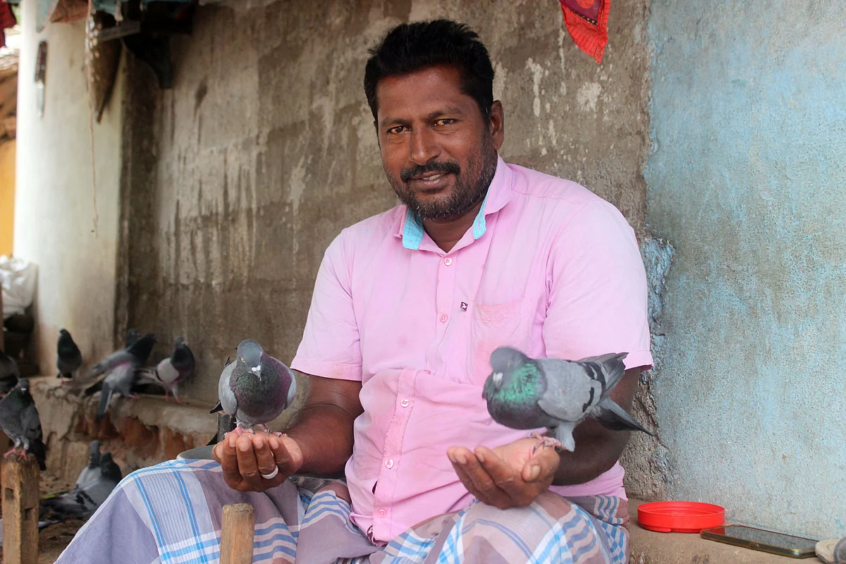 புறாக்களுடன் திருமுருகன்