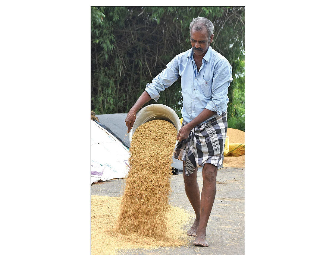 மாரியப்பன்