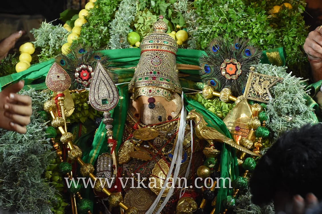 பச்சை சாத்தியில் ஷண்முகர்