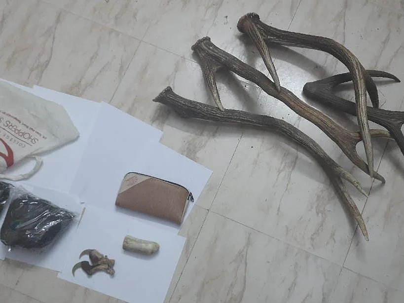 தேனி: `காய்கறிப்பையில் புலிநகம், யானைத் தந்தம், மான்கொம்பு!’- சிக்கிய சித்த மருத்துவர்