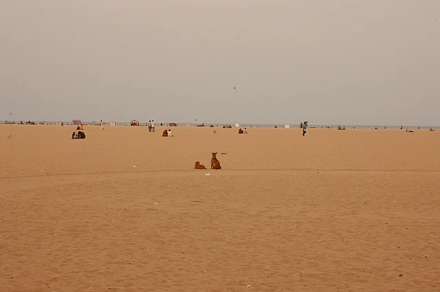 Representational Image