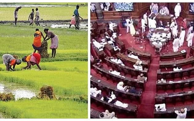 விவசாயப் பணி - நாடாளுமன்ற அவை