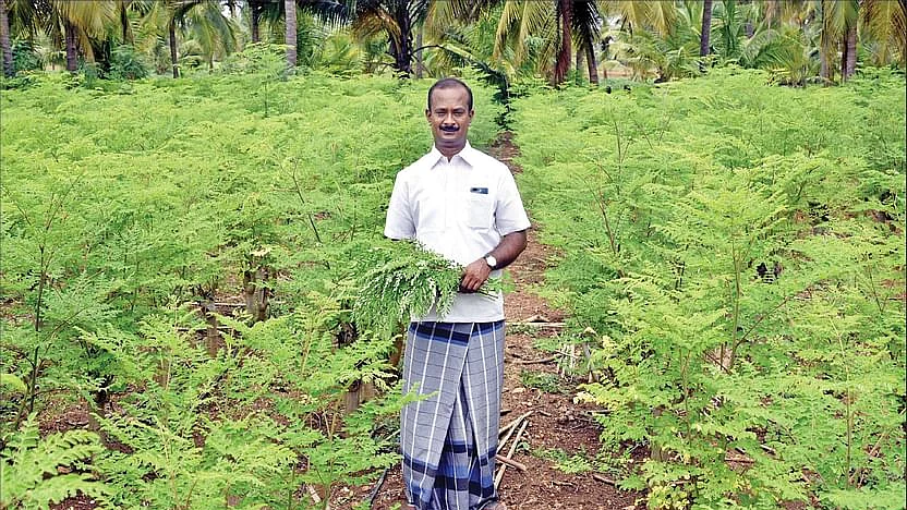 பூபதி சுந்தரம்