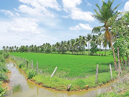 வேளாண் மண்டல விதிமுறைகள்... நிறைகளும் குறைகளும்!
