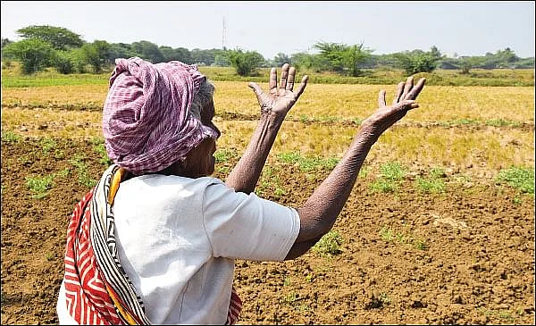 விவசாயி