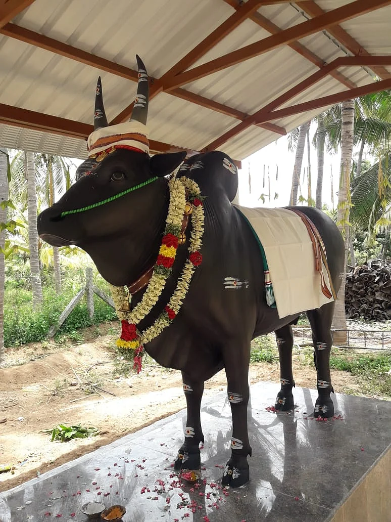 அச்சு அசலாக வடிக்கப்பட்டிருக்கும் காளை சிலை