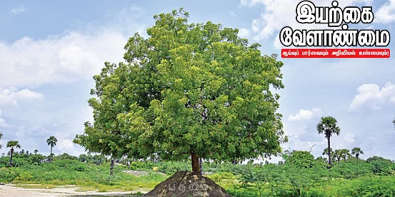 இயற்கை வேளாண்மை