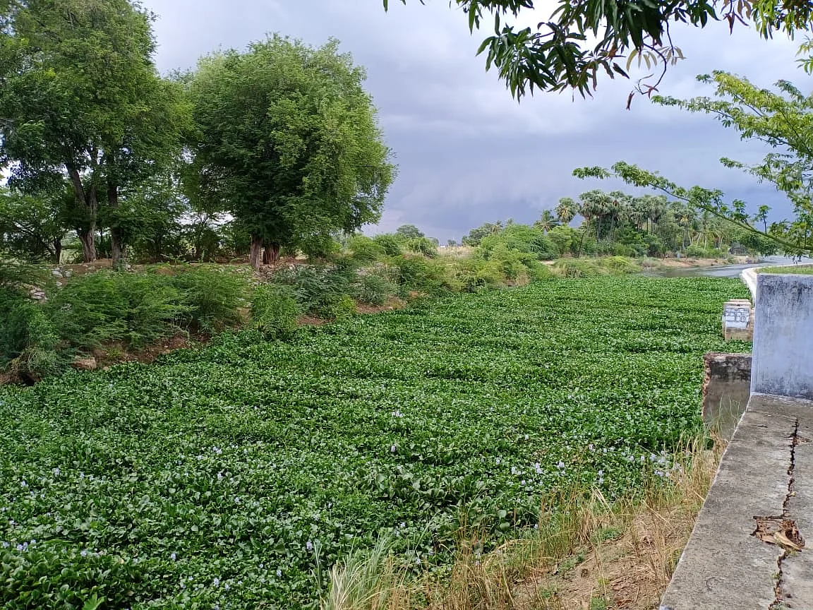 மருதூர் அணை