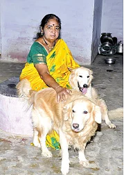 இயற்கை வாழ்வு: பறவைகள் நாய்கள் பூனைகள் ஆடு-மாடுகள் முயல்கள் மரங்கள் மற்றும் நான்!