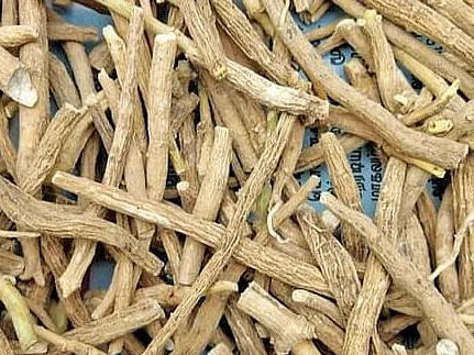 `மெலிந்த உடல் பருக்கும், பருத்த உடல் இளைக்கும்' - `அமுக்கரா' மூலிகை சிறப்புகள்