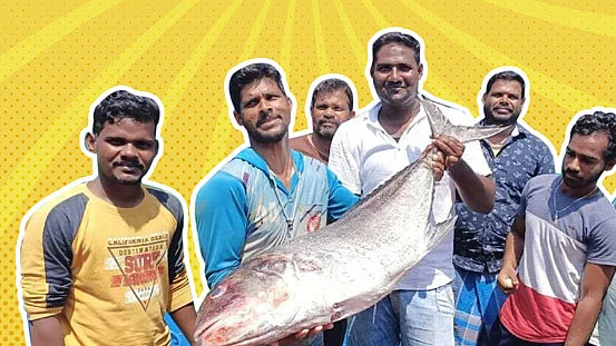 ட்ரெண்டிங்