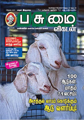 100 ஆடுகள், மாதம் ரூ. 1 லட்சம்! அசத்தல் லாபம் கொடுக்கும் ஆடு வளர்ப்பு!