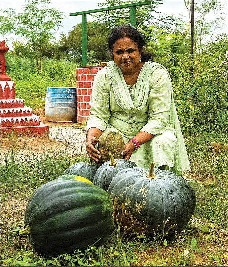 தெருக்குப்பையே உரம்... பூத்துக்குலுங்குது தினம்! - ப்ரீத்தியின் அசத்தல் மாடித்தோட்டம்