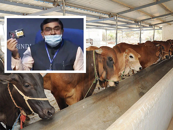 `` 'மாட்டுச்சாண சிப்' செல்போன் கதிர்வீச்சைத் தடுக்கும்”- ராஷ்டிரிய காமதேனு ஆயோக்