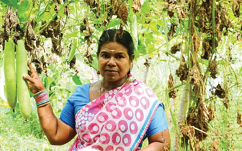 மணிமேகலை