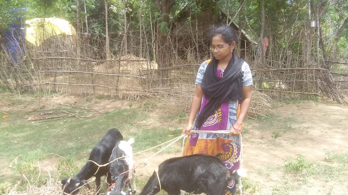 பத்மபிரியா