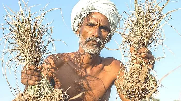 விவசாயி