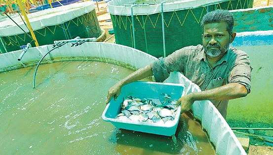 அறுவடையான மீன்களுடன்
ராஜ மனோகர்