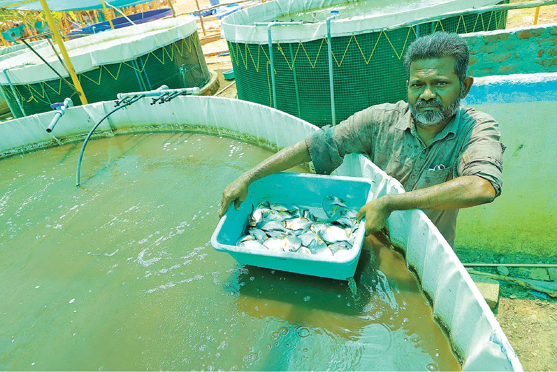 அறுவடையான மீன்களுடன் ராஜ மனோகர்