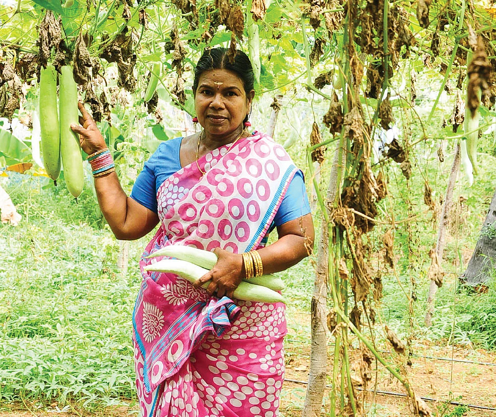 மணிமேகலை