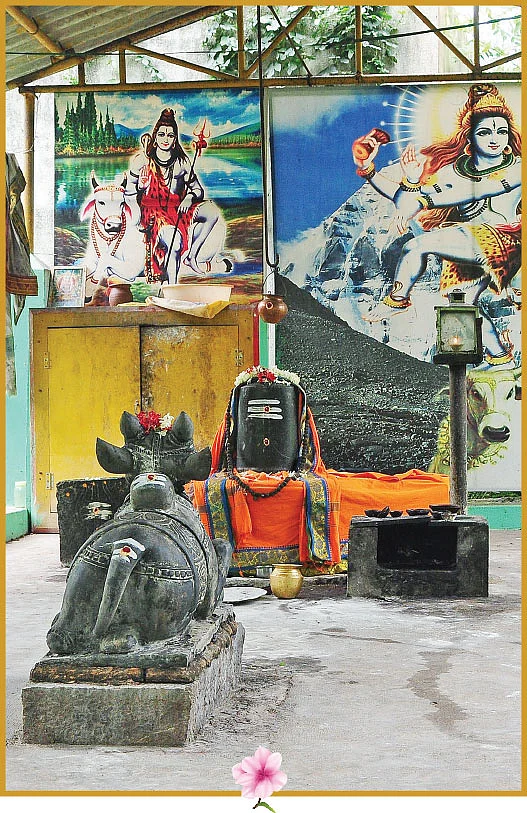 ஸ்ரீவையாலீஸ்வரர் ஆலயம்