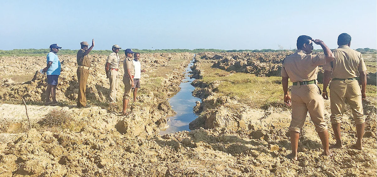 அலையாத்திக் காடுகள் உருவாக்கும் பணியில் வனத்துறையினர்