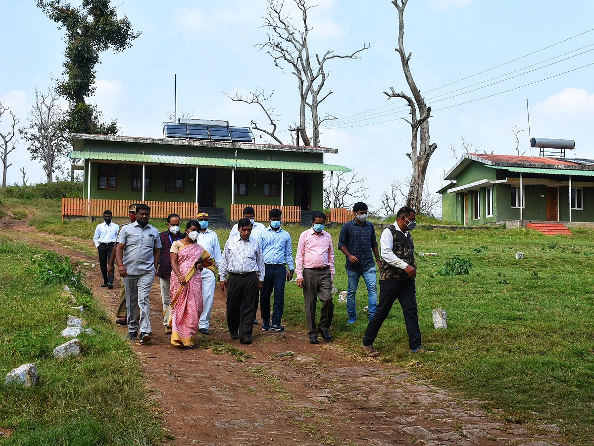 வேகமெடுக்கும் யானைகள் வழித்தட விவகாரம்... முதுமலையில் முதல் நாள் ஆய்வு செய்த ஓய்வுபெற்ற நீதிபதி!