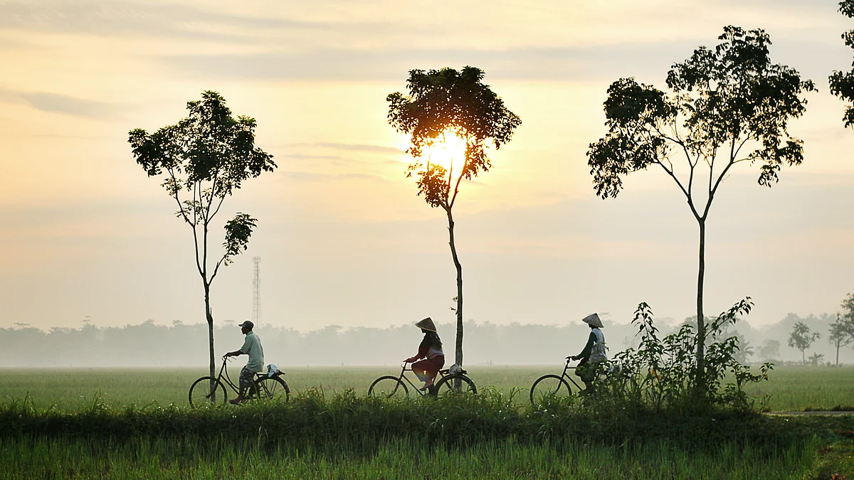 Representational Image