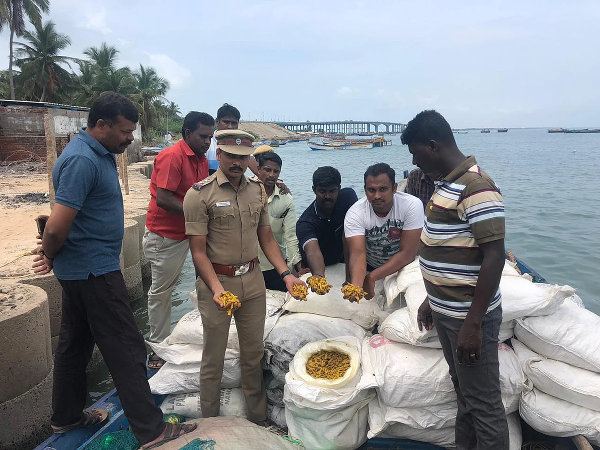 பாம்பன்: படகுடன் சிக்கிய 1,000 கிலோ மஞ்சள்! - கடத்தல் கும்பலைத் தேடும் போலீஸார்