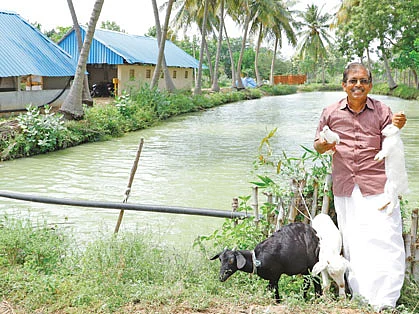 30 ஏக்கர், நெல் + தென்னை - ரூ. 26 லட்சம்... 1 ஏக்கர், ஆடு + கோழி + முயல் + மீன் - ரூ. 14 லட்சம்...