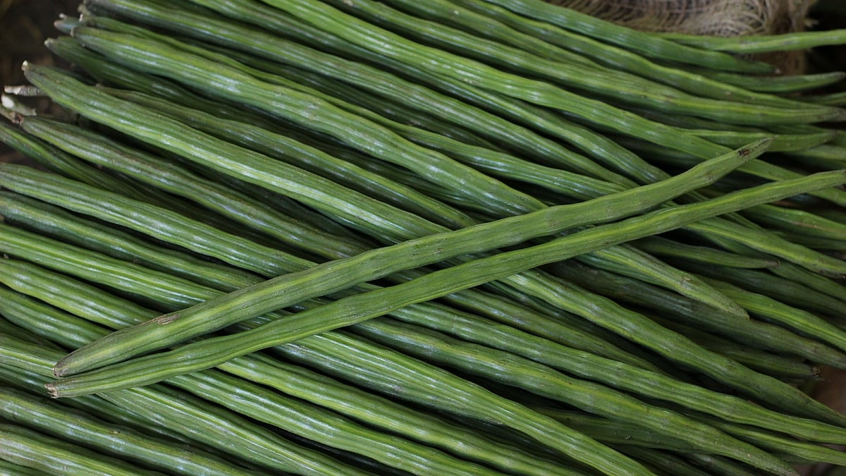 முருங்கை