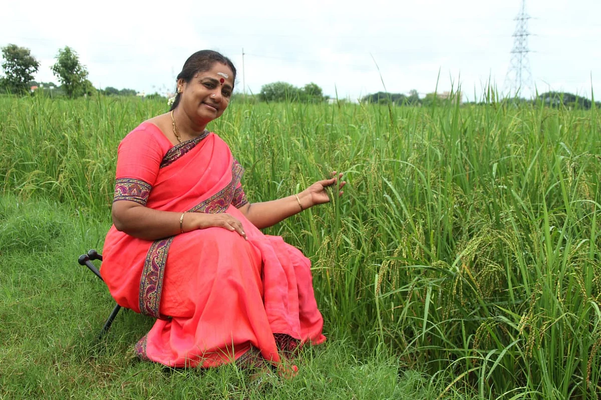 நெல் வயலில் புவனேஸ்வரி