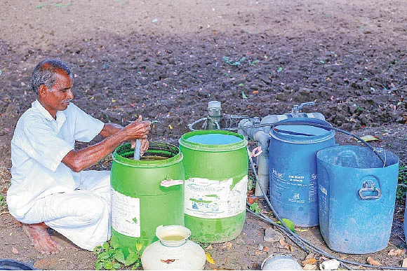 ஒரு ஏக்கர், 120 நாள்கள், ரூ. 2,48,760 குதூகல வருமானம் கொடுக்கும் குறும்புடலை!