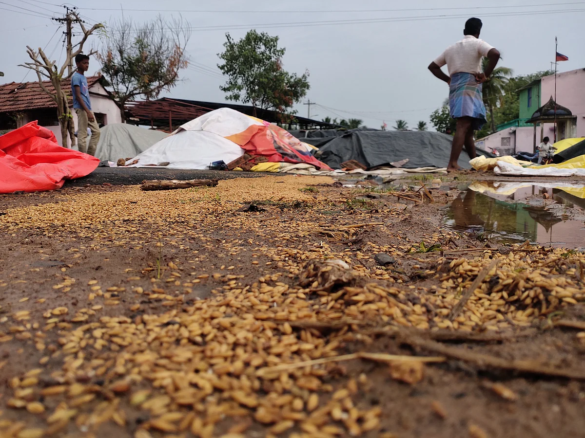 தண்ணீரில் மிதக்கும் நெல்மூட்டைகள், கண்ணீரில் விவசாயிகள்... மெத்தனமாகக் கையாளும் அரசு!