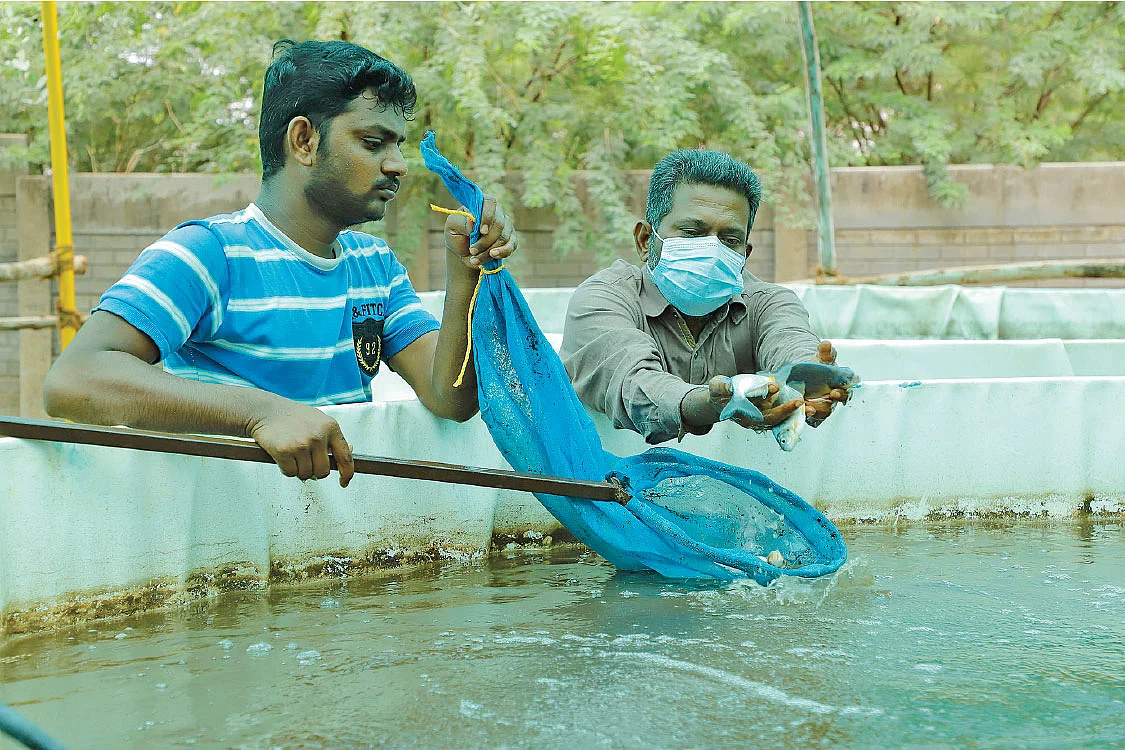 மீன் பிடித்தல்