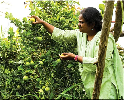 தெருக்குப்பையே உரம்... பூத்துக்குலுங்குது தினம்! - ப்ரீத்தியின் அசத்தல் மாடித்தோட்டம்