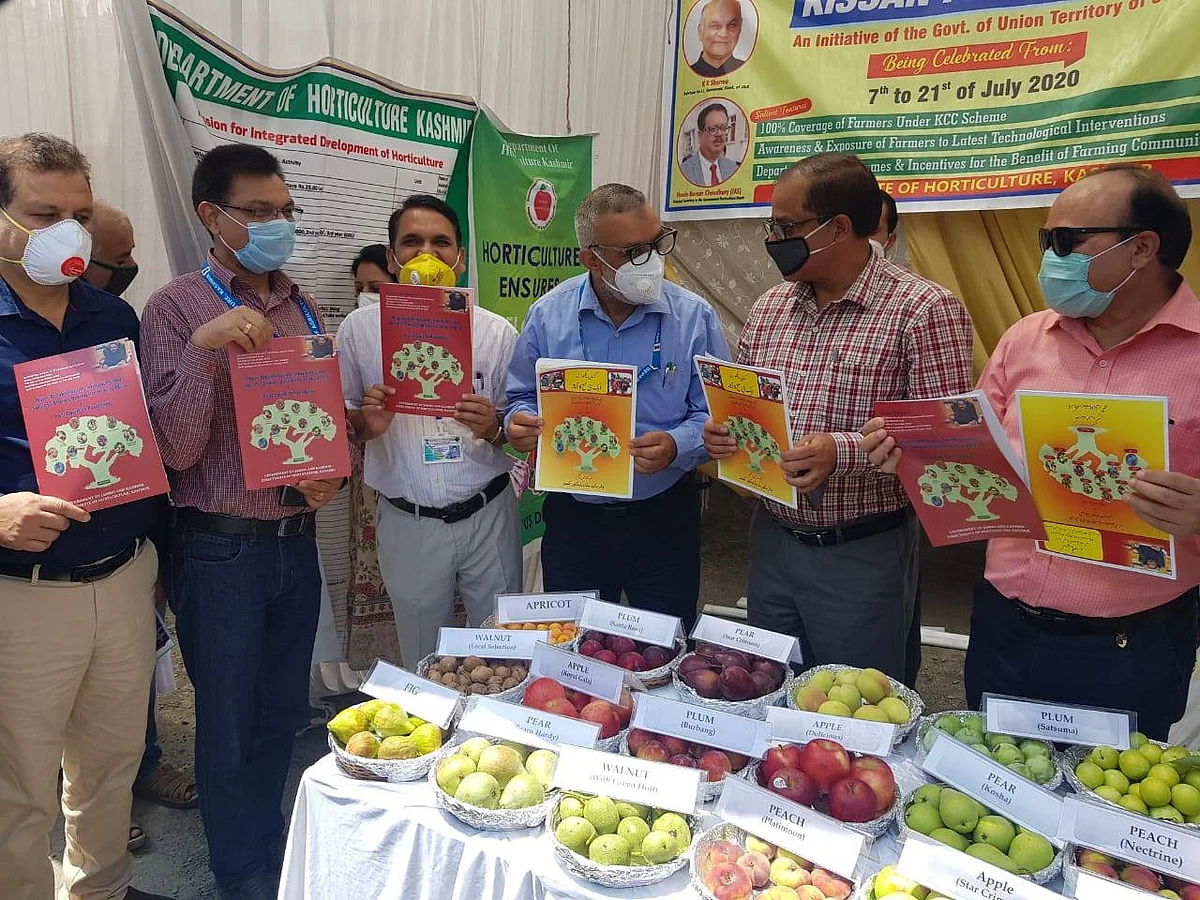 Organic Market