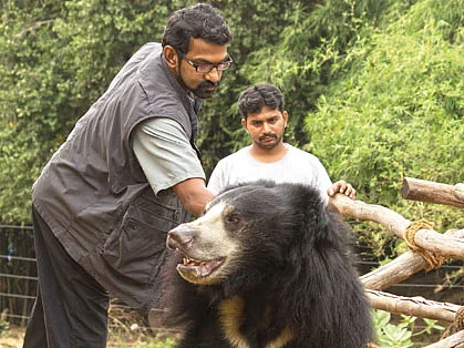 “என் உடல் முழுவதும் கரடிகளின் ஆட்டோகிராப்!” - ஆச்சர்யமூட்டும் ‘கரடி’ டாக்டர்