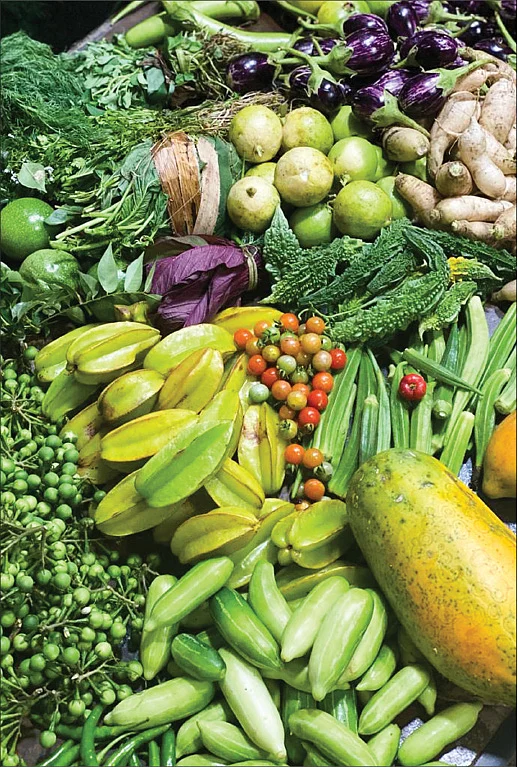 தெருக்குப்பையே உரம்... பூத்துக்குலுங்குது தினம்! - ப்ரீத்தியின் அசத்தல் மாடித்தோட்டம்