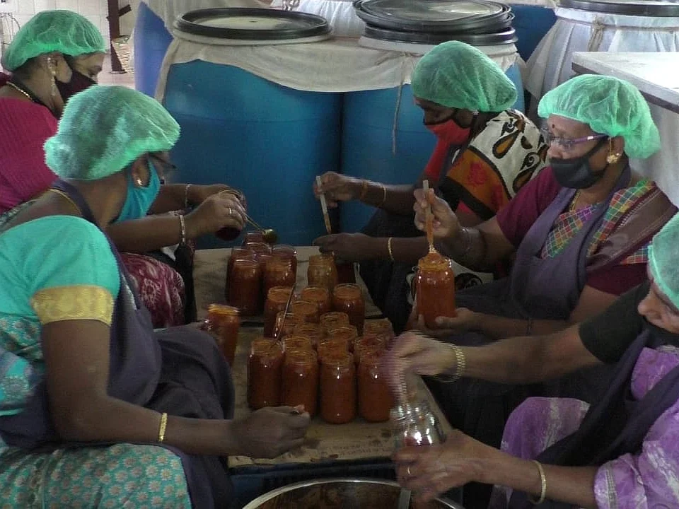 குன்னூர்: வரவேற்பைப் பெறும் ஜாதிக்காய் ஊறுகாய்... அசத்தும் அரசு பழவியல் நிலையம்!
