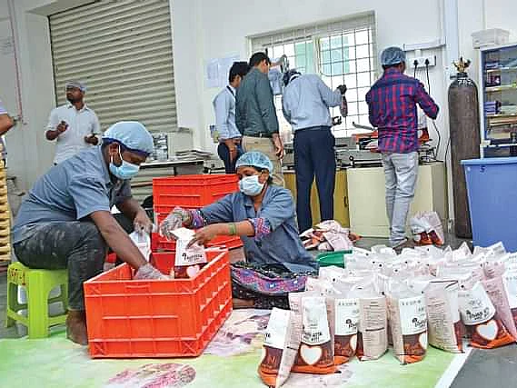 சிறப்பான வருமானம் தரும் சிறுதானிய பிஸினஸ்... பசுமை விகடன் வழங்கும் இலவச ஆன்லைன் பயிற்சி!