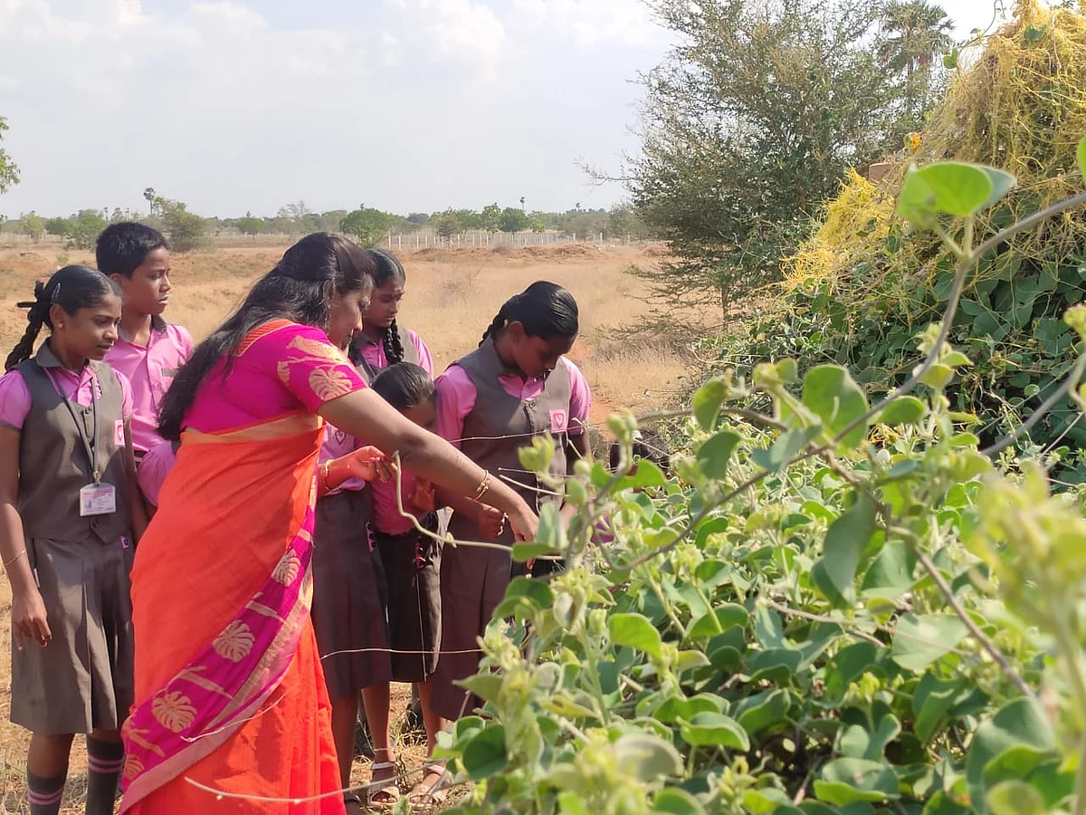`இயற்கையை இவங்க புரிஞ்சுக்கணும்!' - மாணவர்களுக்கு களத்திலேயே பாடம் எடுக்கும் ஆசிரியை
