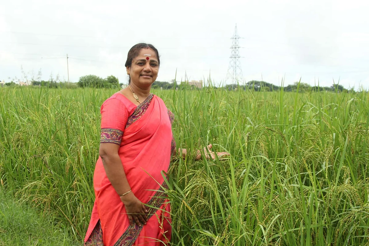 நெல் வயலில் புவனேஸ்வரி