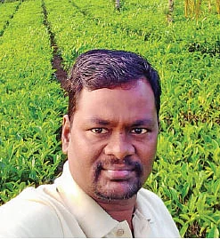 1,000 வாத்துகள்... ஆண்டுக்கு ரூ. 4 லட்சம்! வளமான வருமானம் தரும் வாத்து வளர்ப்பு!