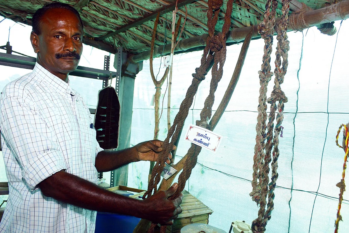 தாம்பு கண்ணி